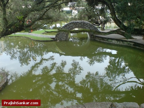 Toa Payoh Town Park small bridge
