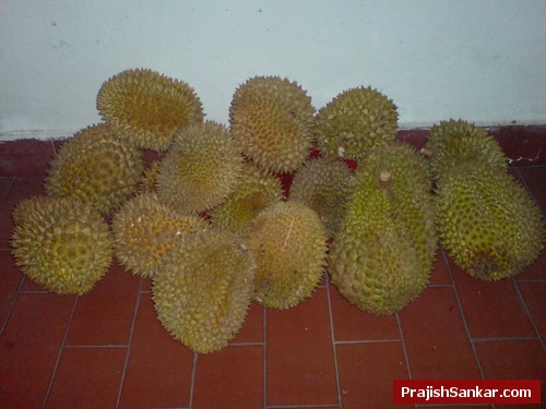 The durians I purchased for RM40 The durians I got for RM40