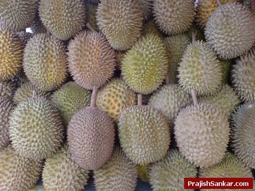 Stacked durian kampung from Pahang